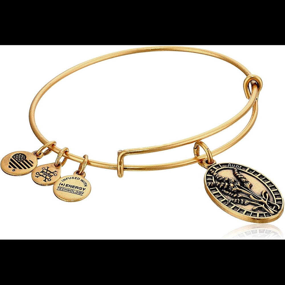 Alex & Ani “Aunt” bracelet